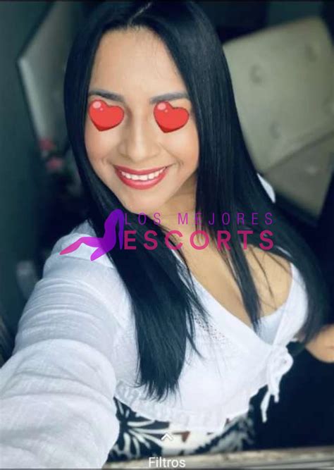 sexo gratis vitoria|PUTAS EN ALAVA. ANUNCIOS DE ESCORTS EN ALAVA